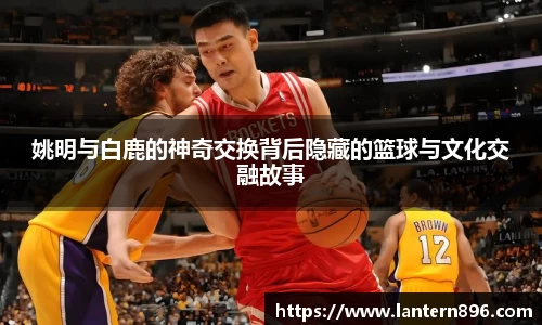 BSports网页版